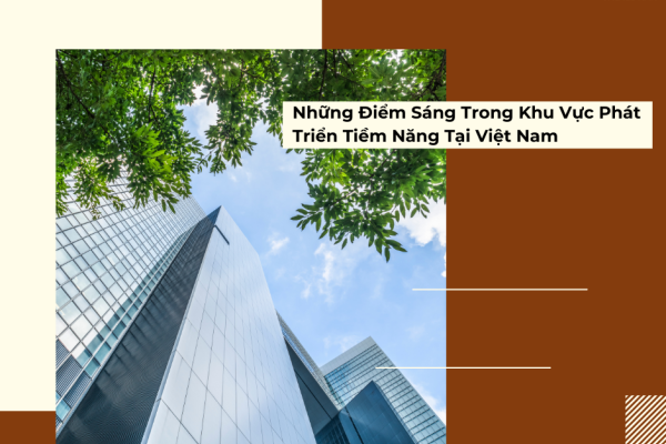 Những Điểm Sáng Trong Khu Vực Phát Triển Tiềm Năng Tại Việt Nam